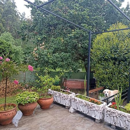 Cabana Monte Do Castro Porto do Son Εξωτερικό φωτογραφία